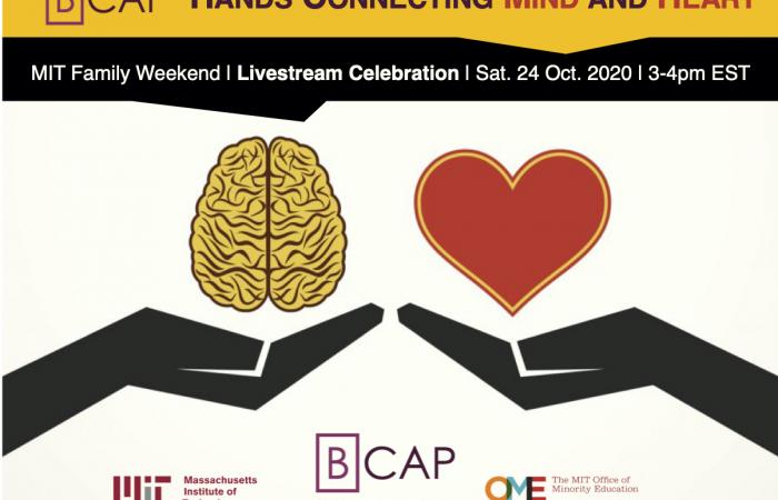 BCAP: Hands Connecting Mind and Heart (2020)