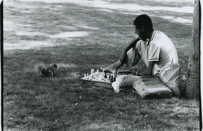 Solo chess, 1984