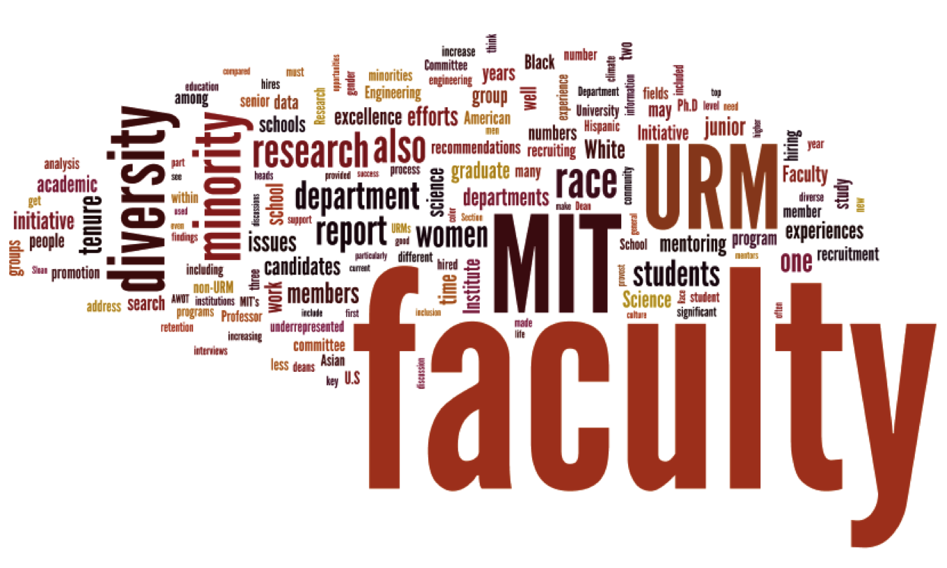 Faculty Diversity Report word cloud